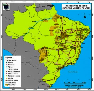 Mapa mostra principais rotas do tráfico de animais silvestres no país. Nordeste é campeão de apreensões, aponta o Ibama . Foto: divulgação - Ibama